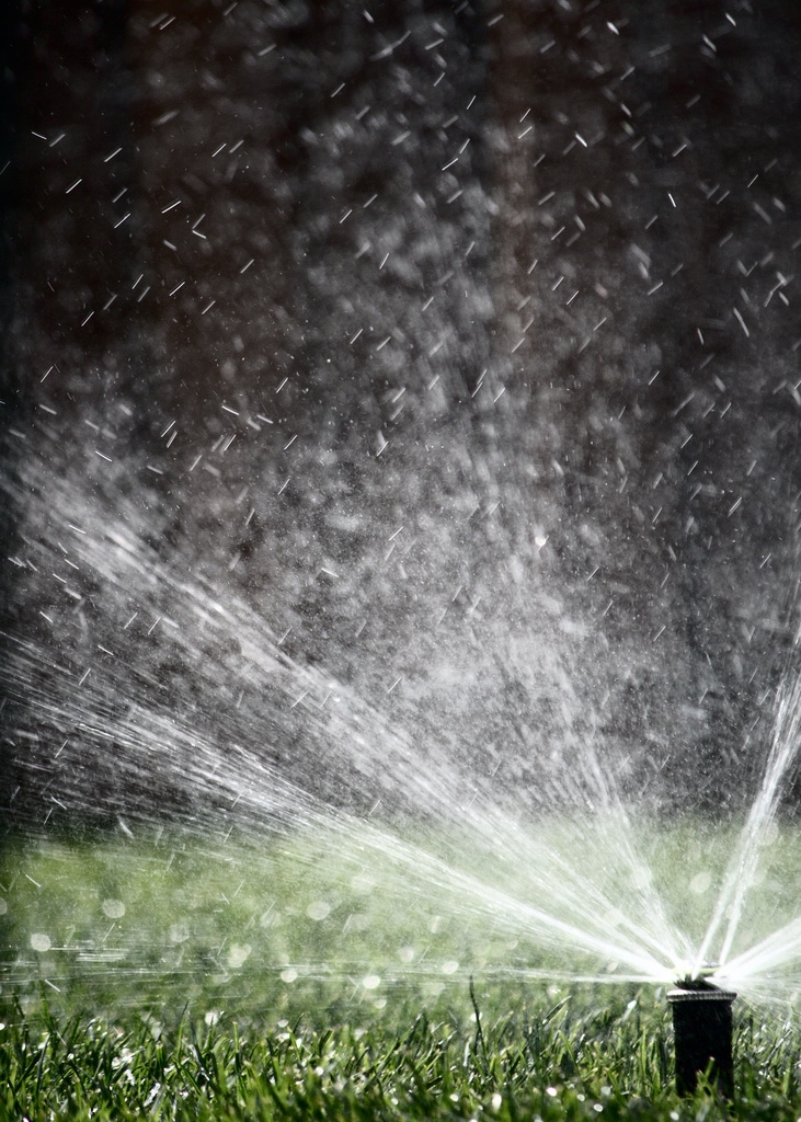 Your 7-Step DIY Sprinkler Tune-Up Checklist and When You Can Water in DFW