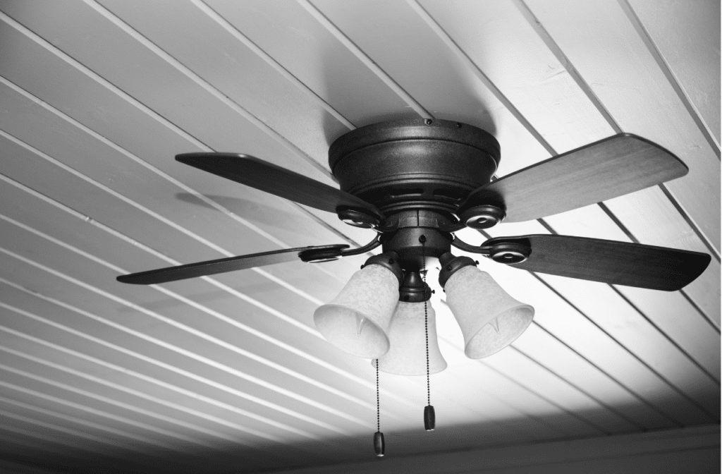 Ceiling Fans