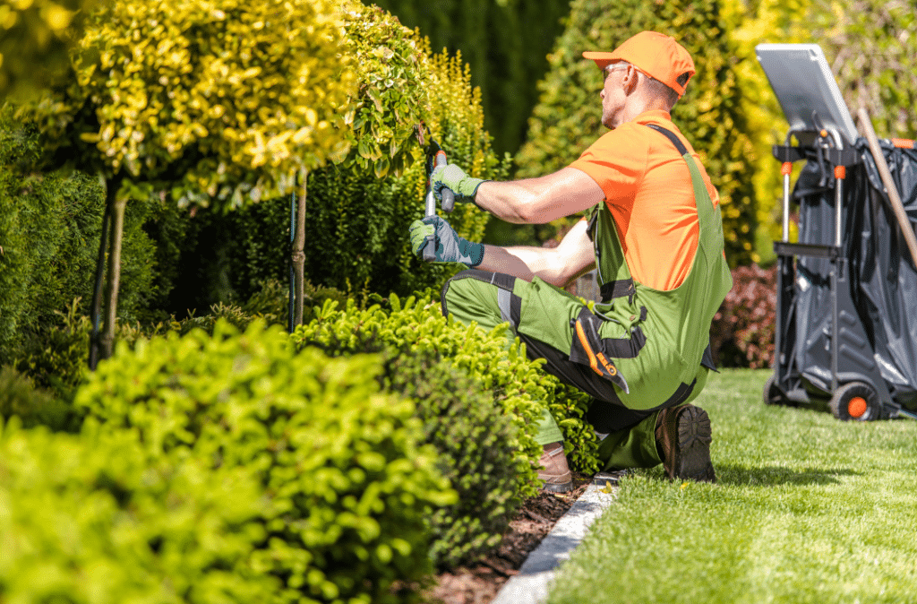 landscaping