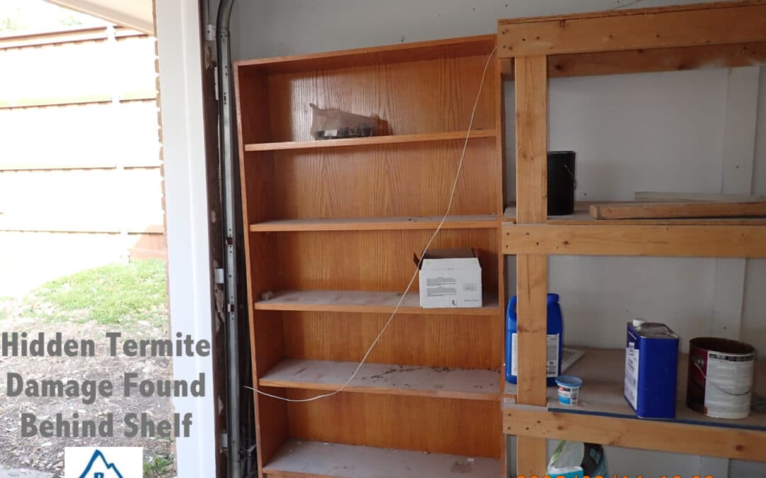 hidden termite damage behind shelf